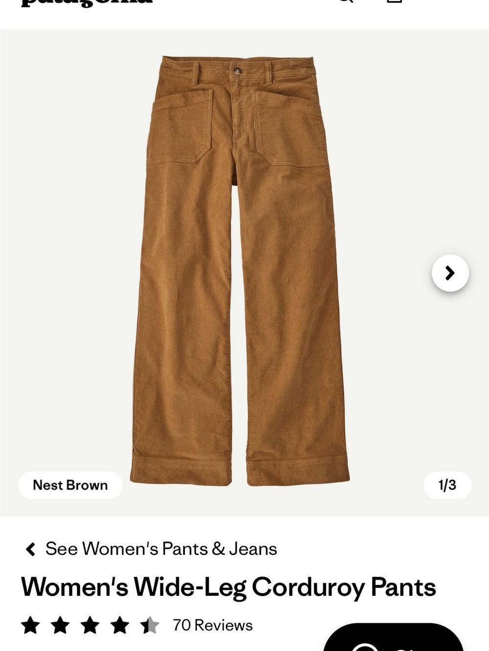 Patagonia Women's Wide‑Leg Corduroy Pants — Nest Brown Size 0